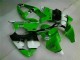 00-02 Green Black Kawasaki ZX6R Motorcycle Fairing & Bodywork