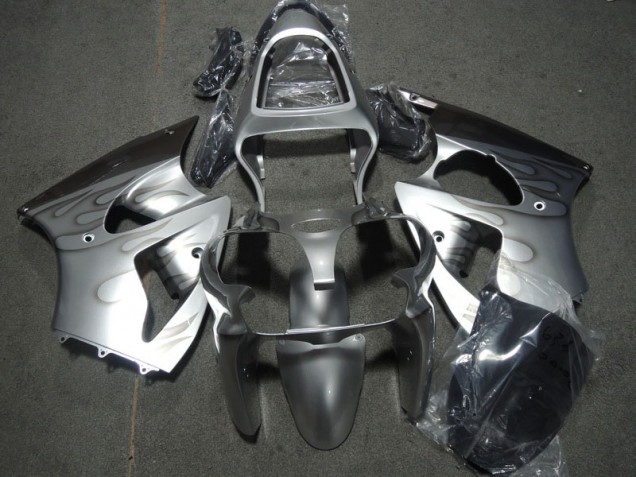 00-02 Silver Flame Kawasaki ZX6R Motorcycle Fairings