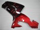 06-07 Red Flame Kawasaki ZX10R Motorcycle Fairings