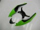 09-12 Black Green Red Kawasaki ZX6R Motorcycle Fairings