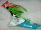 09-12 Red Green Motocard Kawasaki ZX6R Motorcycle Fairings